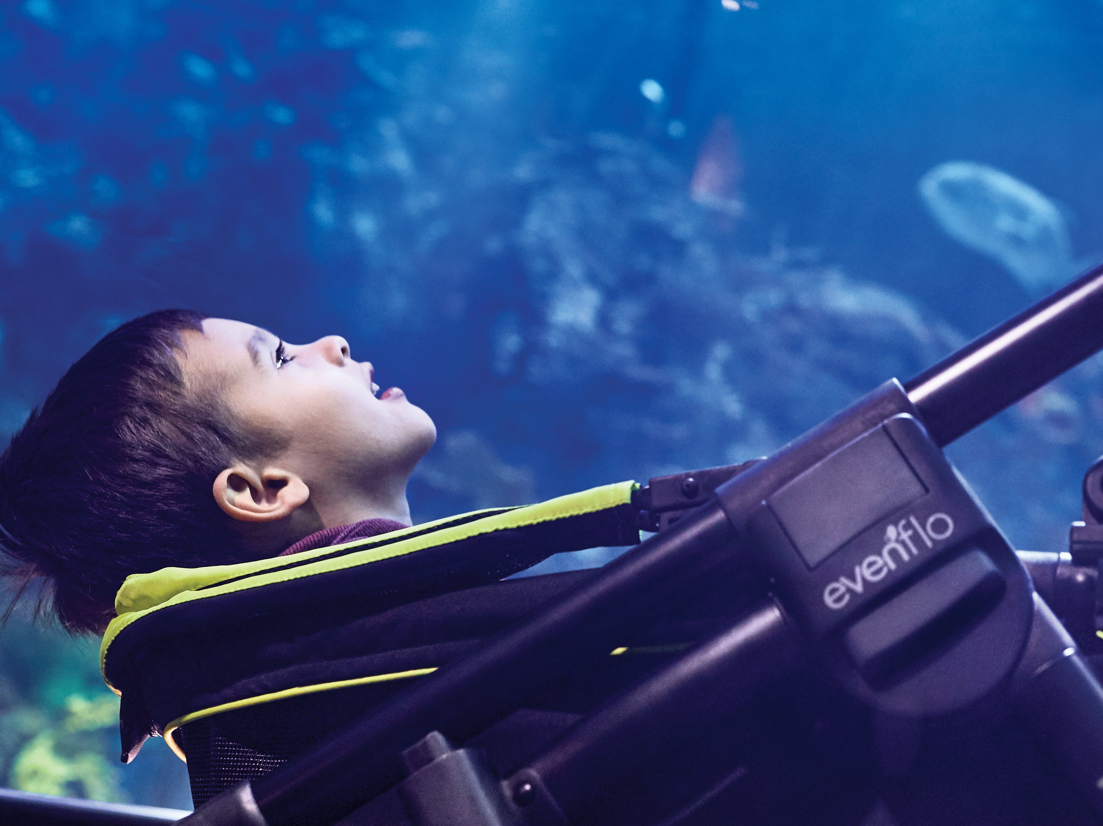 Watch your child's face light up with wonder, looking at the fish in the aquarium.