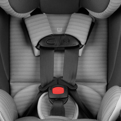 Close-up of a five-point safety harness on a gray and black Evenflo car seat.